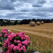 Plounévez-Quintin 09/10/2024