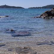 Plage de Pinarellu 10/10/2024