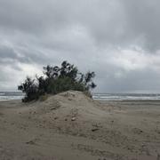 Saintes-Maries-de-la-Mer 11/10/2024