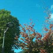 Mont-Saint-Aignan 11/10/2024