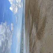 Hauteville-sur-Mer 11/10/2024