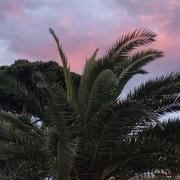 Le Grau-du-Roi 12/10/2024