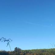 Montpezat 21/10/2024