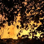 Fougères 21/10/2024