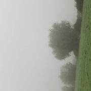 Bollezeele 26/10/2024