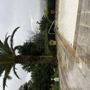 Saint-Jean-de-Luz 26/10/2024