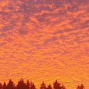 Château-Chinon 28/10/2024