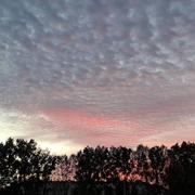 Pinhal Novo 30/10/2024