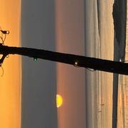 La Teste-de-Buch 31/10/2024