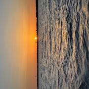 Bassin d'Arcachon (Gironde) 01/11/2024