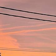 Vézelois 03/11/2024