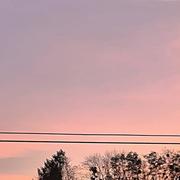 Vézelois 03/11/2024