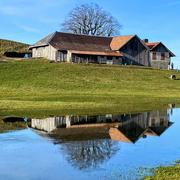 Le Pâquier 11/11/2024