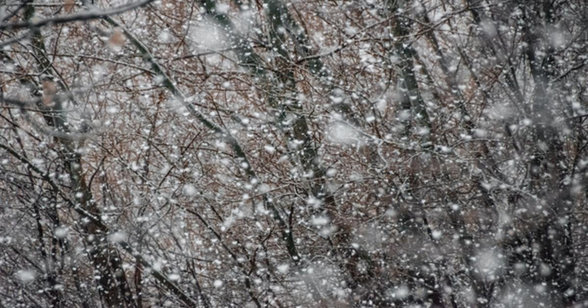 Retour de la neige en montagne la semaine prochaine : à quoi s'attendre ?