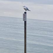 Ouistreham 14/11/2024