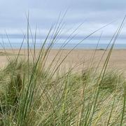 Ouistreham 14/11/2024