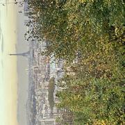 Saint-Cloud 14/11/2024