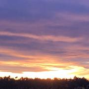 Châteauneuf-de-Gadagne 20/11/2024