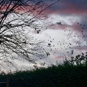 Vannes-le-Châtel 21/11/2024