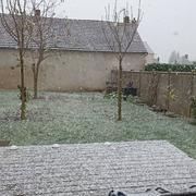 Courcelles-sur-Seine 21/11/2024