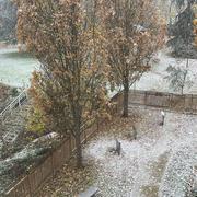 Carrières-sous-Poissy 21/11/2024