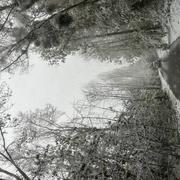 Vernouillet 21/11/2024