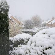 Bussy-Saint-Georges 21/11/2024