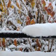 Bussy-Saint-Georges 21/11/2024