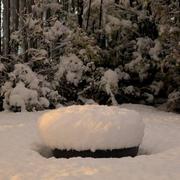 Bussy-Saint-Georges 21/11/2024