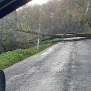 Argenton-l'Église 21/11/2024