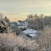 Geneuille 22/11/2024