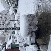 Les Loges-en-Josas 22/11/2024