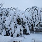 La Ferrière-aux-Étangs 22/11/2024