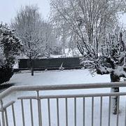 Vézelois 22/11/2024