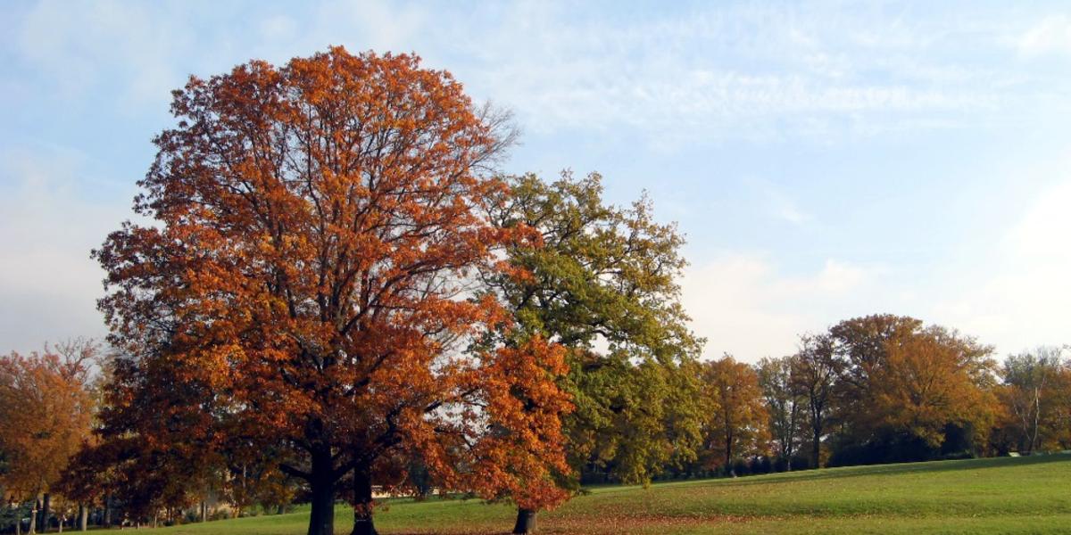 Hausse spectaculaire des températures : plus de 10°C de hausse en 24 heures - Actualités La Chaîne Météo