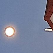 Saint-Christophe-du-Bois 24/11/2024