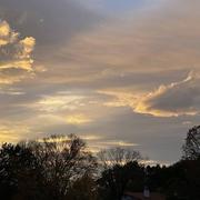 Saint-Martin-de-Seignanx 25/11/2024