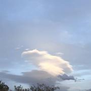 L'Isle-sur-la-Sorgue 25/11/2024