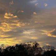 Saint-Martin-de-Seignanx 26/11/2024