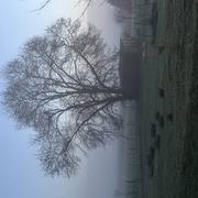 Petit-Palais-et-Cornemps 27/11/2024