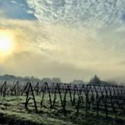 Wintzenheim 01/12/2024