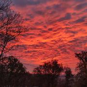 Puylaroque 05/12/2024