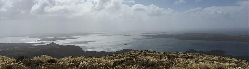 À la découverte des îles au sud de la Nouvelle-Zélande : un voyage vers la nature sauvage