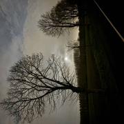 Châtenay-en-France 18/12/2024