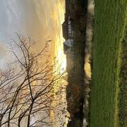 Sundhoffen 21/12/2024