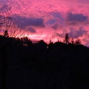 Mandagout 21/12/2024