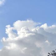 Saint-Valery-en-Caux 23/12/2024