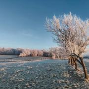 Dampierre-les-Bois 31/12/2024