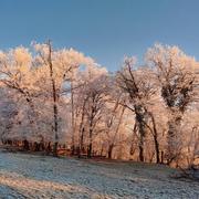 Dampierre-les-Bois 31/12/2024