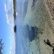 La Londe-les-Maures 31/12/2024